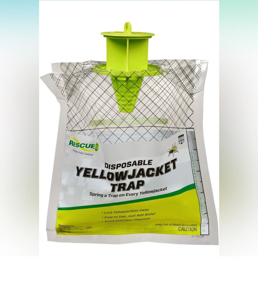 Disposable Yellow Jacket Trap