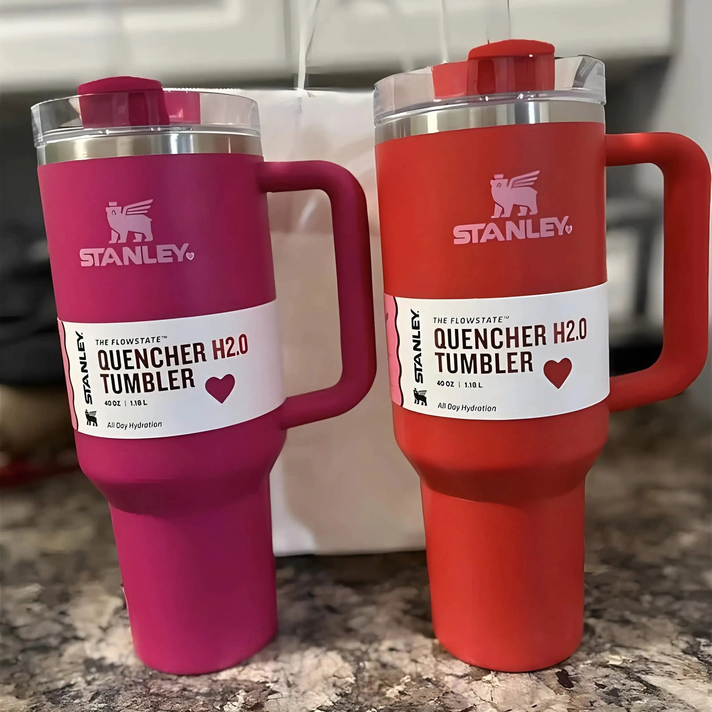 H2.0 Tumbler with Handle